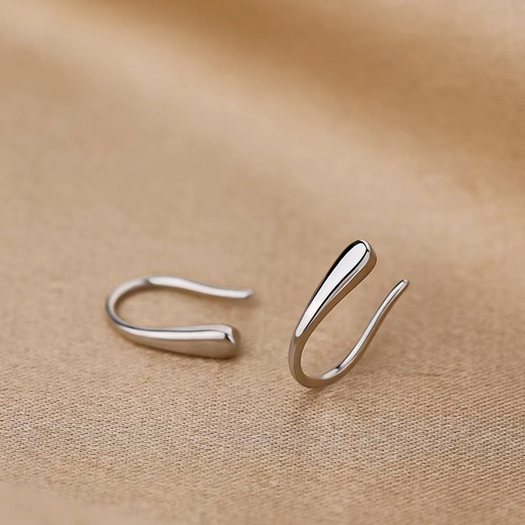 Sterling Silver Tear Drop Hook Earrings-Stud Earrings-3-Glitters