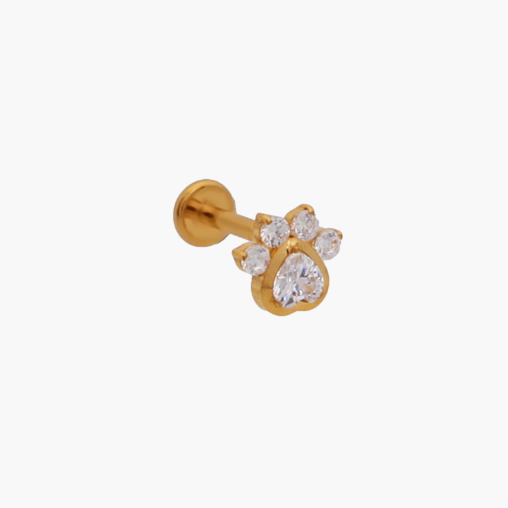 CZ Paw Top Internally Threaded Titanium Flat Back Stud Earrings-Tragus | Cartilage | Daith | Conch-2-Glitters