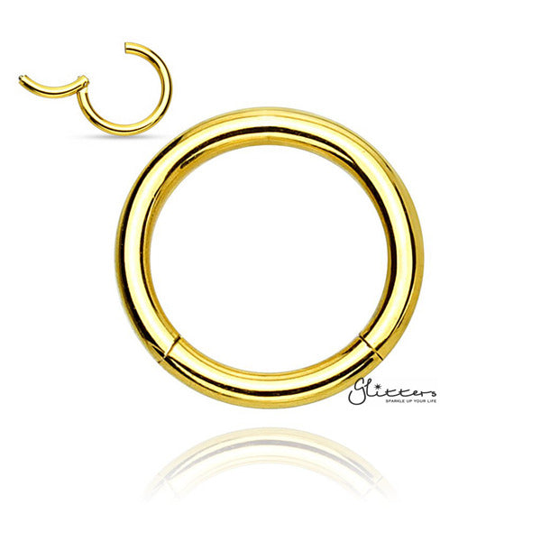16 Gauge Hinged Stainless Steel Segment Hoop Rings-silver | Gold | Black | Rose Gold-Best Sellers, Body Piercing Jewellery, Cartilage, Hoop Earrings, Jewellery, Men's Earrings, Men's Jewellery, Nose, Septum Ring, Women's Earrings-CP0016_G_01-Glitters